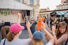 Vegafest-2026-Fotoalbum-2-Val-Lampic-50